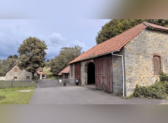 Resthof mit idyllischem Bachlauf auf 3,5 ha zu verkaufen