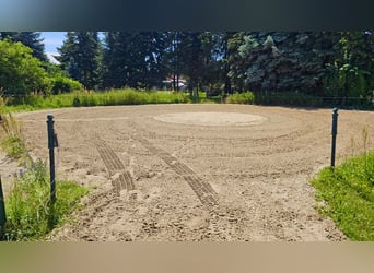 Rijcentrum met veelbelovend ontwikkelingspotentieel nabij Berlijn