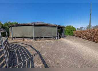 Royale Woonboerderij op Toplocatie met Paardenfaciliteiten