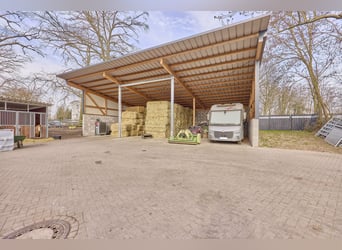 Ruiterfaciliteit in Dannenberg (Elbe) in Nedersaksen – gerenoveerde boerderij en woonhuis met potent