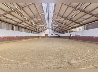 Ruiterfaciliteit in Dannenberg (Elbe) in Nedersaksen – gerenoveerde boerderij en woonhuis met potent