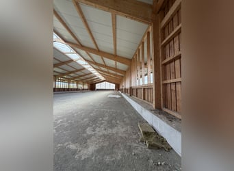Ruiterfaciliteit in de buurt van Würzburg - 386-26