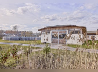 Ruiterfaciliteit in Mecklenburg-Vorpommern – direct aan de Mecklenburgse Merenplatte in een toeristi