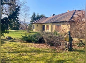 Ruiterfaciliteit met binnenbak in het Werradalen – privé paardenparadijs op 6359 m²