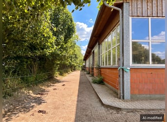Ruiterfaciliteit met overdekte rijhal en buitenbak in panoramisch landschap - Landkreis Osnabrück