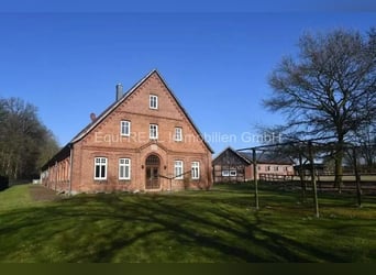 Ruiterfaciliteit op een schilderachtige locatie