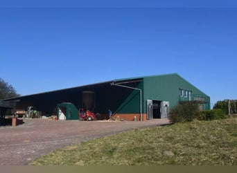 Ruiterfaciliteit op een schilderachtige locatie