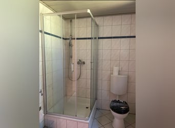 Schöne 1,5-Zimmer-Wohnung auf idyllischem Pferdehof zu vermieten