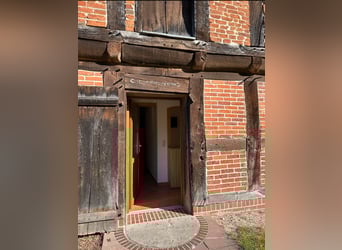 Schöne 1,5-Zimmer-Wohnung auf idyllischem Pferdehof zu vermieten