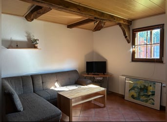 Schöne 1,5-Zimmer-Wohnung auf idyllischem Pferdehof zu vermieten