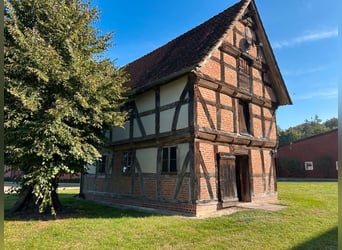 Schöne 1,5-Zimmer-Wohnung auf idyllischem Pferdehof zu vermieten