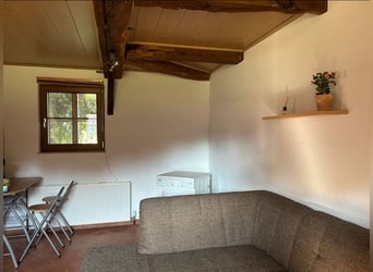 Schöne 1,5-Zimmer-Wohnung auf idyllischem Pferdehof zu vermieten