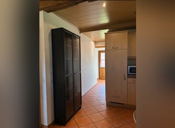 Schöne 1,5-Zimmer-Wohnung auf idyllischem Pferdehof zu vermieten
