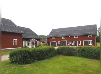 Schweden - Einzigartiger Pferdehof zum Verkauf angeboten!