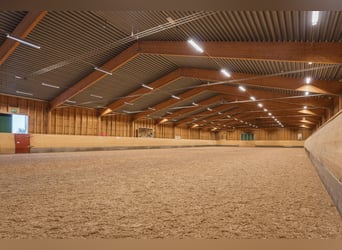 Schweden - Einzigartiger Pferdehof zum Verkauf angeboten!