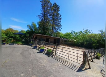 Seelenruhe für Mensch und Tier- kernsaniertes Landhaus mit Scheune und Pferdeweide