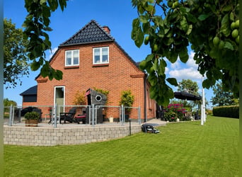 Sfeervol landhuis met hoogwaardige paardenfaciliteiten in Sønderjylland op een droomlocatie