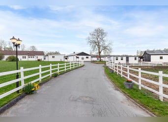 Springfield Farm – An Exclusive Property with International Potential, 18 ha