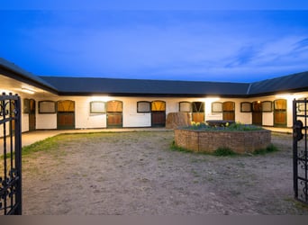 Springfield Farm – An Exclusive Property with International Potential, 18 ha