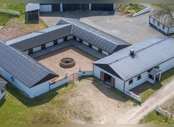 Springfield Farm – Een exclusief landgoed met internationaal potentieel, 8 hectare