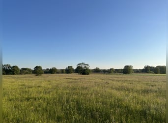 Stall in de omgeving van Karlsruhe V12949