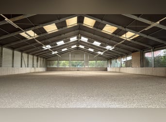 Stalltrakt oder Paddockboxen mit Freilauf für Selbstversorger auf Reitanlage 