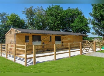 STUNNING EQUESTRIANPROPERTY/LANDHOUSE NEAR XATIVA/VALENCIA