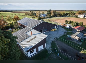 TOP Pferdehof in Auggen / Markgräflerland