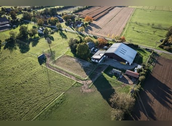 TOP Pferdehof in Auggen / Markgräflerland