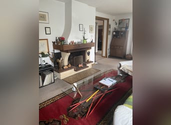 TOP Pferdehof in Auggen / Markgräflerland