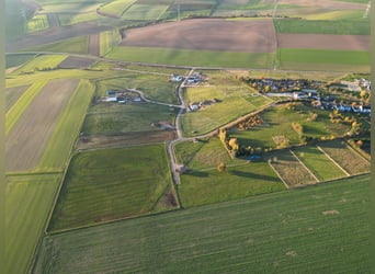 Traumgrundstück  mit 2075 m² für Pferde & Menschen mit Stallbaurecht in Lonnig/RLP nahe Koblenz