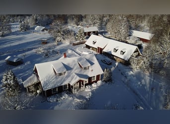 Uniek landgoed in Blekinge / Zuid-Zweden