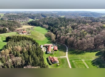 Uniek paardenbedrijf op een idyllische, afgelegen locatie – circa 4 hectare eigen land, twee woonhui