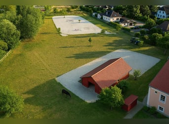 Uniek rijksmonumentaal pand voor individualisten. Perfect voor het houden van paarden.