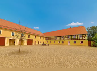 Uniek rijksmonumentaal pand voor individualisten. Perfect voor het houden van paarden.