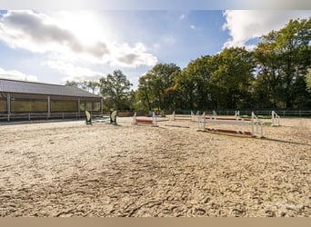 Unieke trainingsstal met prachtige villa op ca. 1 ha te Halle-Zoersel (Mogelijkheid tot aankoop extr