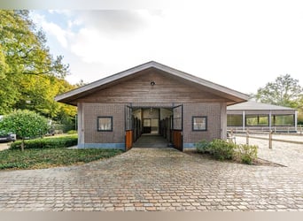 Unieke trainingsstal met prachtige villa op ca. 1 ha te Halle-Zoersel (Mogelijkheid tot aankoop extr