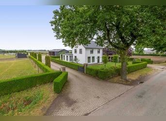 Unique equestrian property with 10 stables & outdoor arena near forest trails