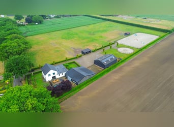 Unique equestrian property with 10 stables & outdoor arena near forest trails