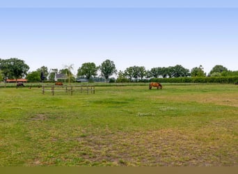 Unique equestrian property with 10 stables & outdoor arena near forest trails