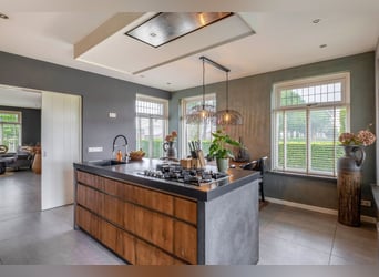 Unique equestrian property with 10 stables & outdoor arena near forest trails