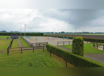 Unique equestrian property with 10 stables & outdoor arena near forest trails