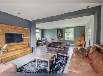 Unique equestrian property with 10 stables & outdoor arena near forest trails