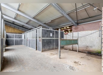 Vaesrade 2 4, Nuth