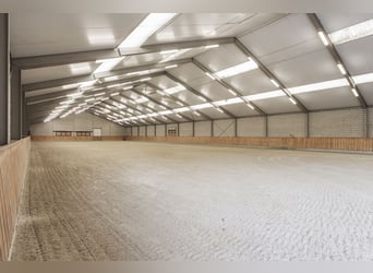 VERKOCHT: Complete paardenaccommodatie met landhuis nabij de Duitse grens in Nederland.