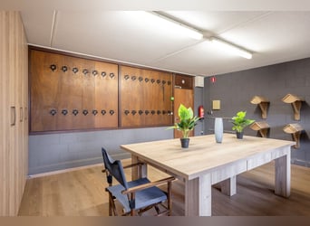 VERKOCHT: Complete paardenaccommodatie met landhuis nabij de Duitse grens in Nederland.