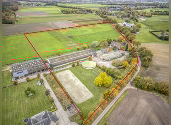 VERKOCHT: Complete paardenaccommodatie met landhuis nabij de Duitse grens in Nederland.