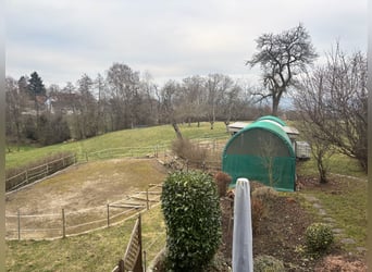 Verzorgd paardenlandgoed - 5000 m², zandbodem en uitzicht op de Alpen | Nabij CH | groot ontwikkelin