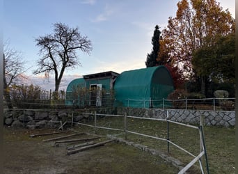 Verzorgd paardenlandgoed - 5000 m², zandbodem en uitzicht op de Alpen | Nabij CH | groot ontwikkelin