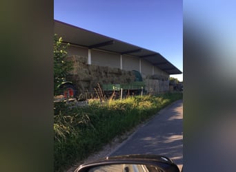 Vielseitig nutzbare Reitanlage in der Metropolregion Rhein-Neckar